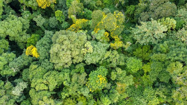 Survivalisme en famille : un guide pratique pour tous