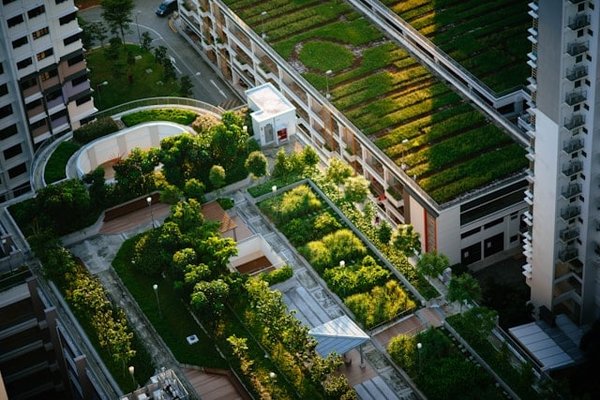 Comment optimiser la gestion de l'eau dans un petit jardin urbain?